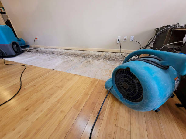 Professional Structural Drying technician working in Show Low, AZ